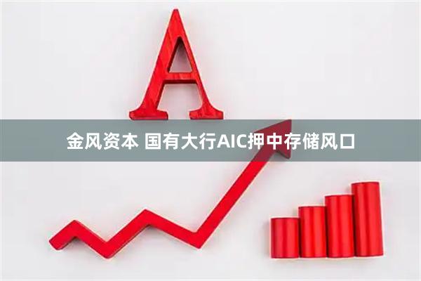 金风资本 国有大行AIC押中存储风口